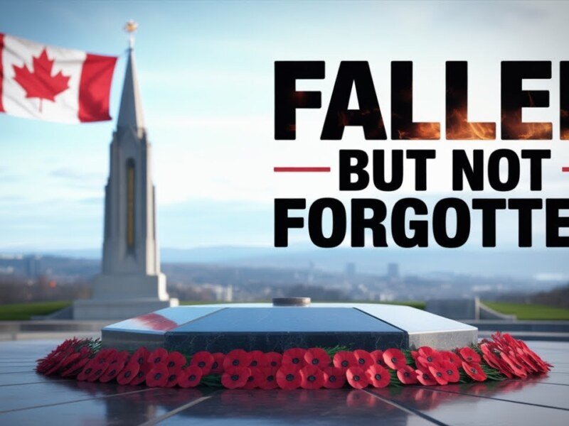 Do Canadians Really Remember Their Fallen Heroes? Remembrance Day 2025”