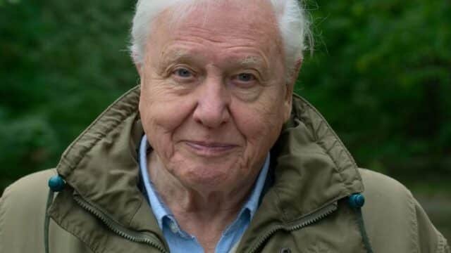 David Attenborough Turns 100: 10 Fascinating Facts About His Extraordinary Life