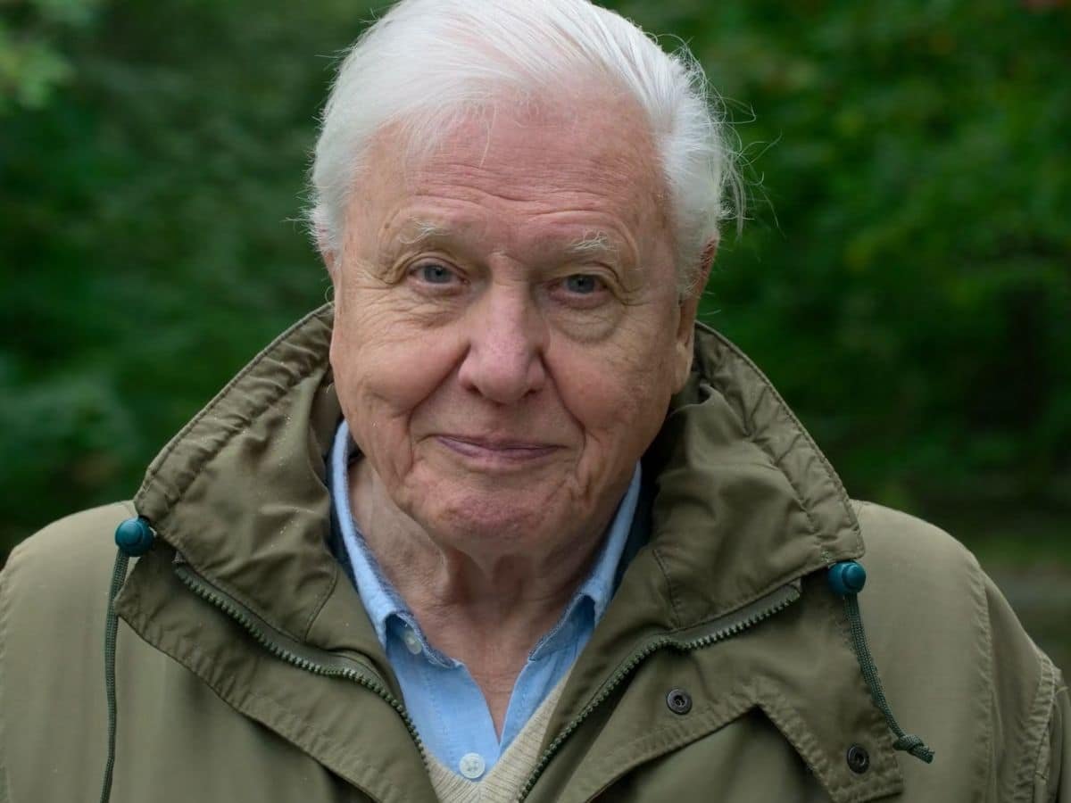 David Attenborough