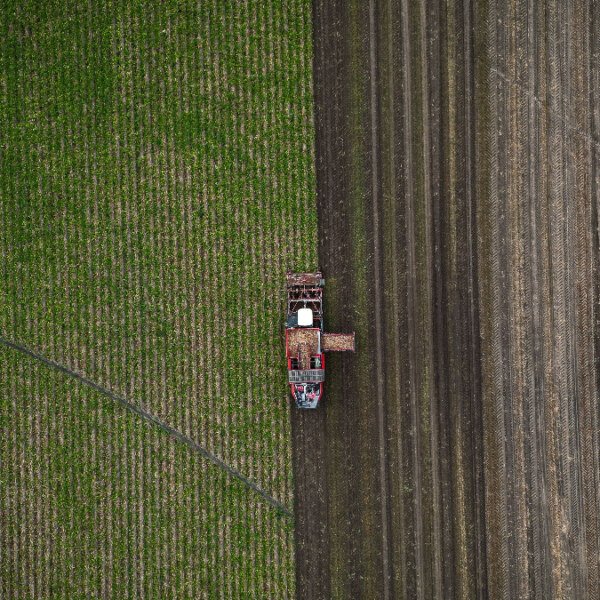 Canada Agriculture Crisis: Farmers Face Growing Challenges as Weather Threatens Crop Season