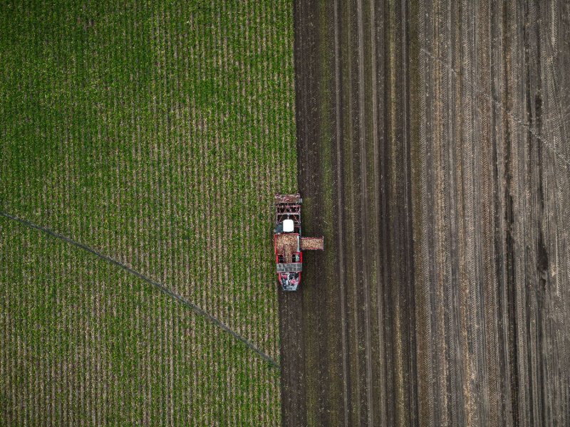 Canada Agriculture Crisis: Farmers Face Growing Challenges as Weather Threatens Crop Season