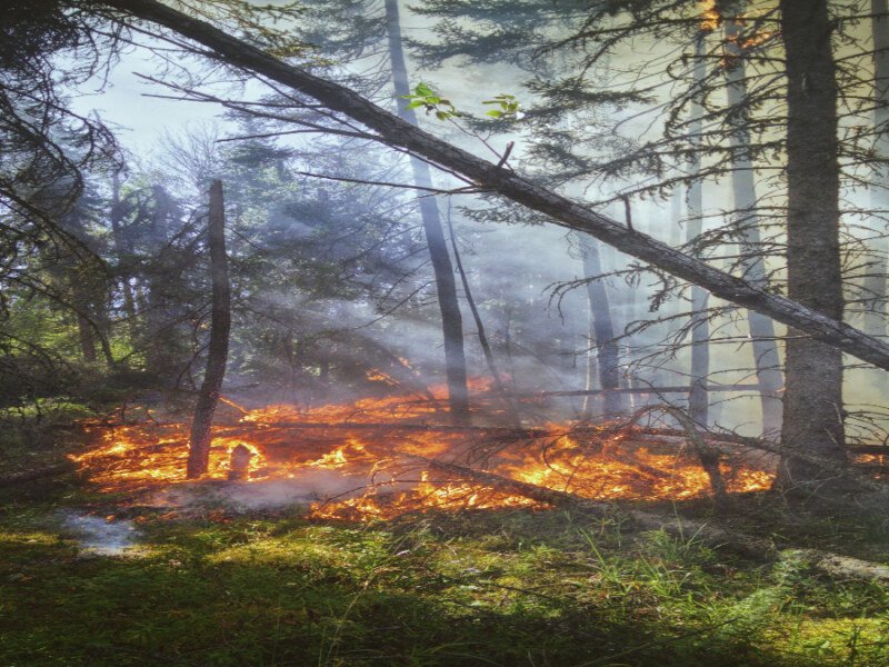Canada Wildfire Smoke Reaches 20+ U.S. States, Millions Urged to Stay Indoors