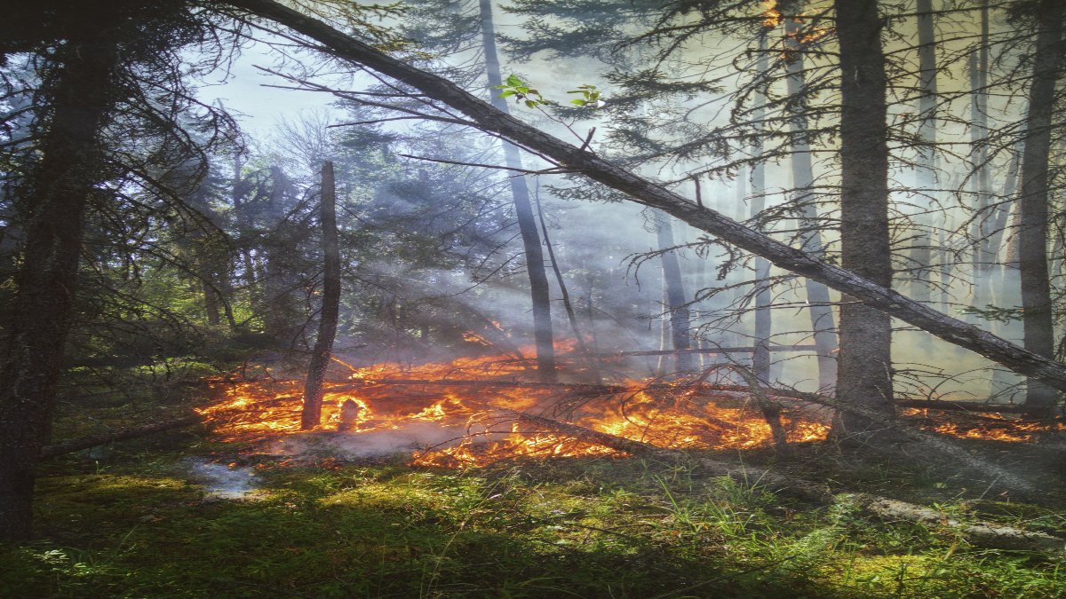 Canada wildfire smoke US