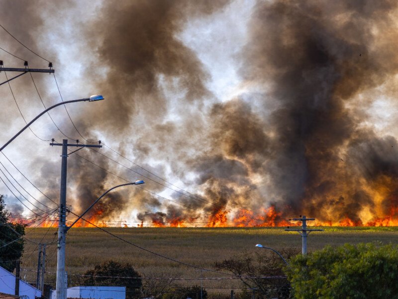 Northern Ontario Wildfires Blanket Toronto in Thick Smoke as Poor Air Quality Spreads Into the U.S.