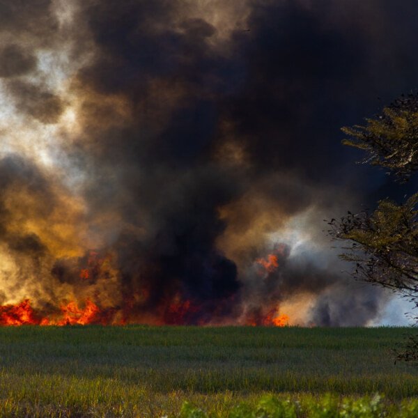 Ontario Wildfire Air Quality Warnings Spread as Smoke Impacts Great Lakes States