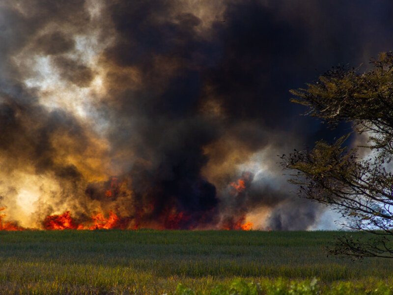 Ontario Wildfire Air Quality Warnings Spread as Smoke Impacts Great Lakes States