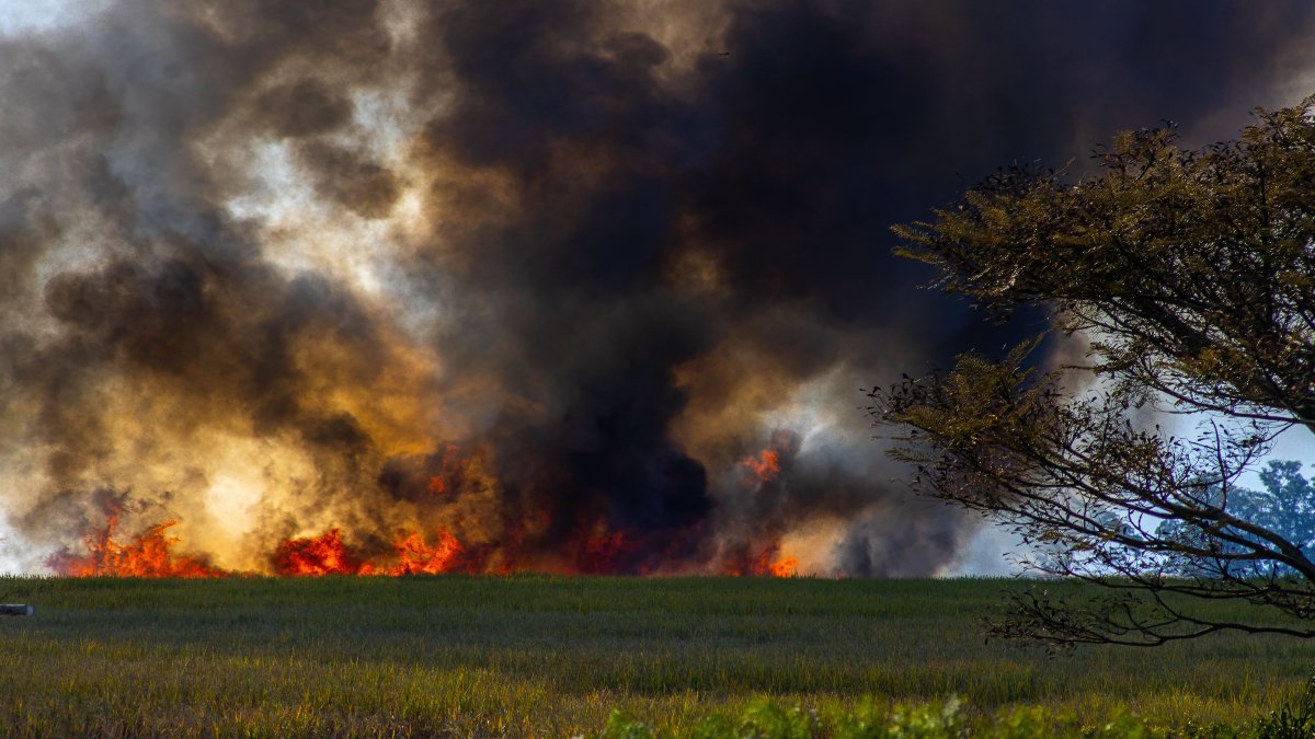 Ontario wildfire air quality warnings