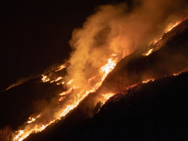 Ontario’s Wildfire Season Is Reaching a Breaking Point – Early Numbers Tell a Grim Story