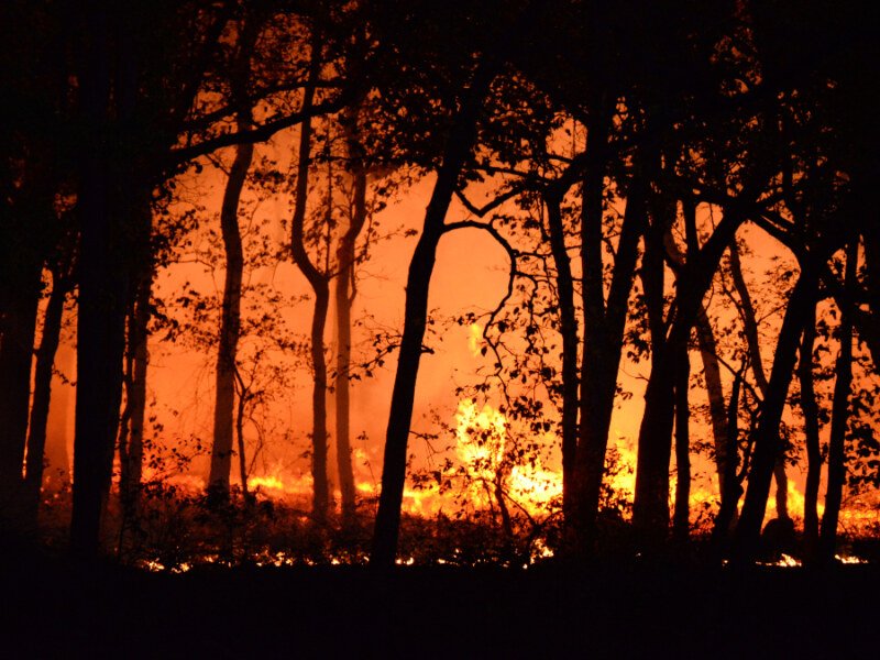 B.C. Wildfires Surge Again: Nearly 30 New Fires Ignite in 24 Hours as Province Battles Growing Fire Threat