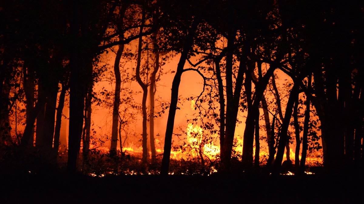 B.C. wildfires