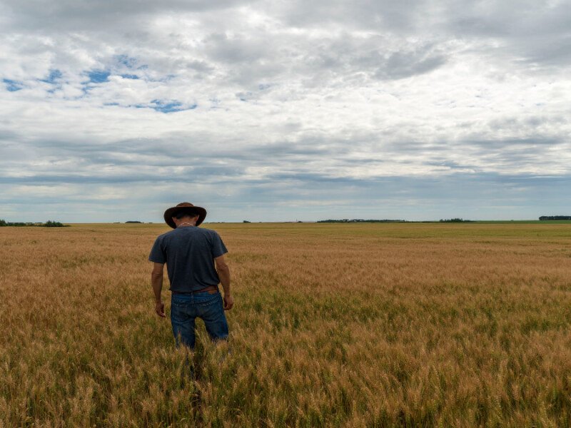 Todd Lewis Dies at 65: Saskatchewan Farmer-Turned-Senator Leaves Behind a Legacy of Service