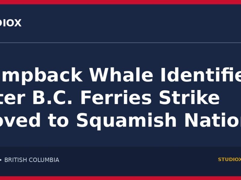 Humpback whale identified after B.C. Ferries strike moved to Squamish Nation