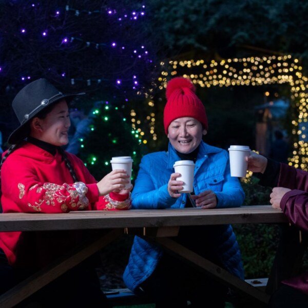 Bear Creek Lights Returns to Surrey With 25% More Displays This November